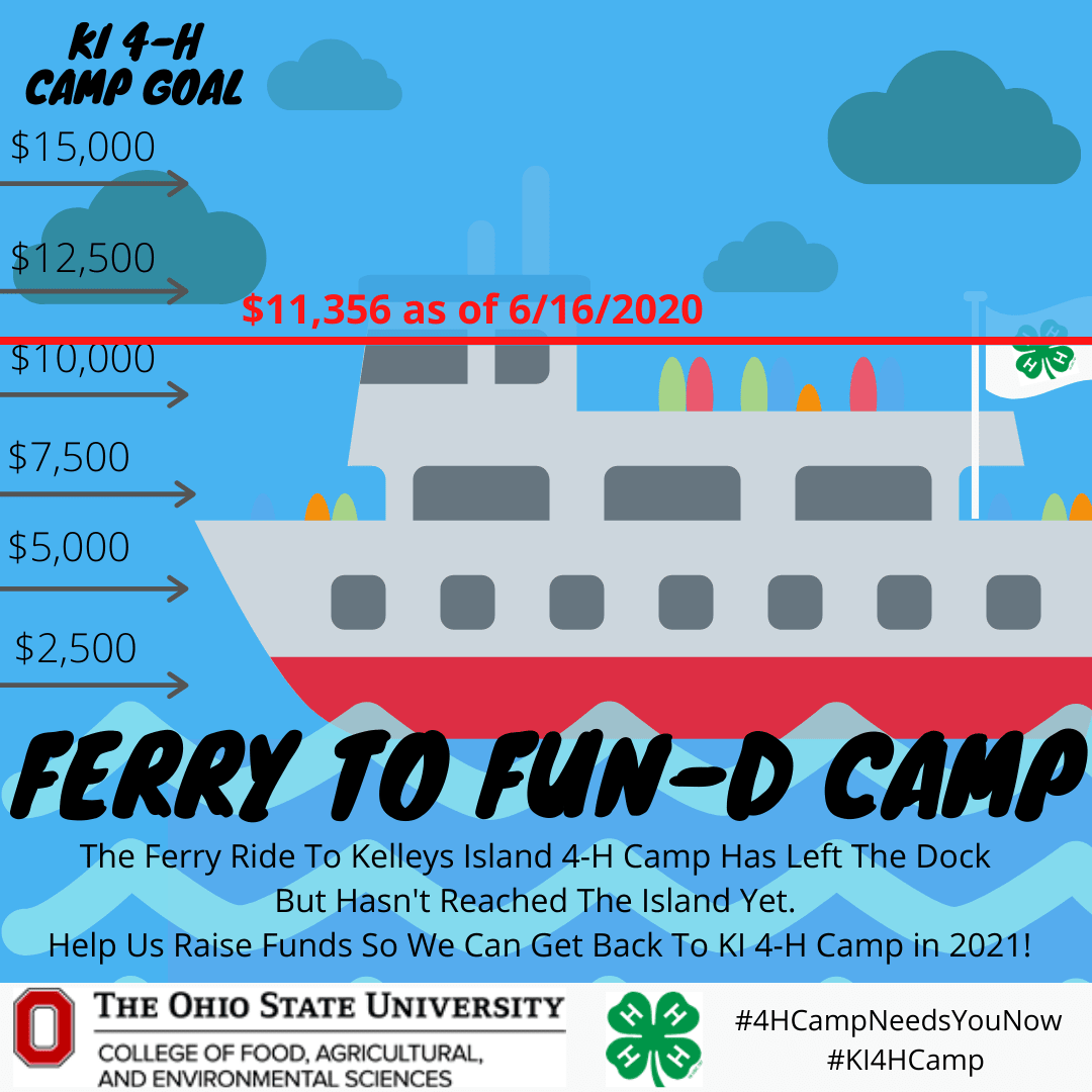 The Ferry to Fun fundraising infographic