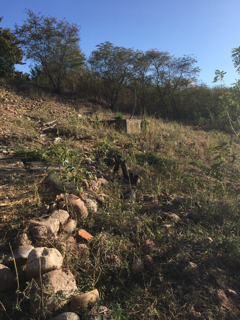A picture of the side of hill with grass and rocks
