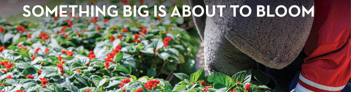 Become a Bama Blitz Ambassador