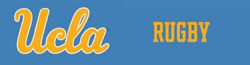Past Projects logo