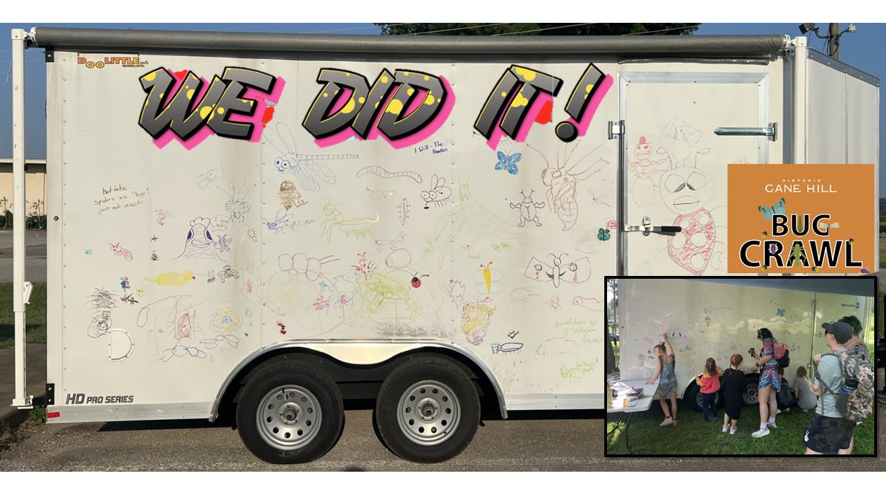 ENTO-ROADSHOW Graffiti