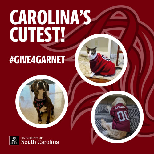 Image for Update: Carolina's Cutest Bonus