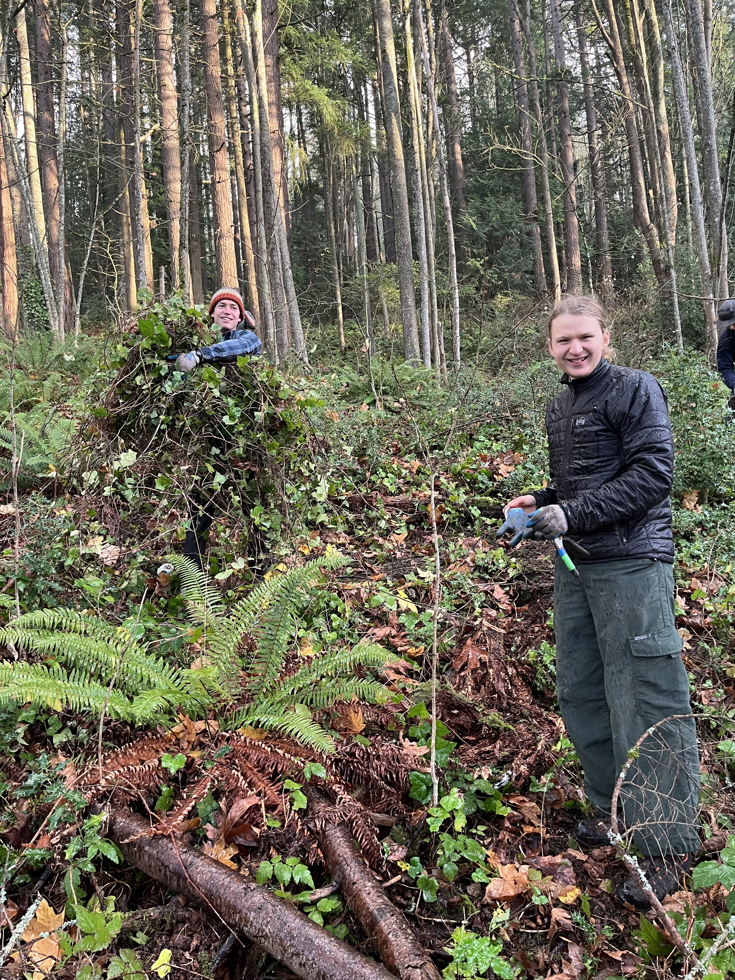 Squandering the invasives