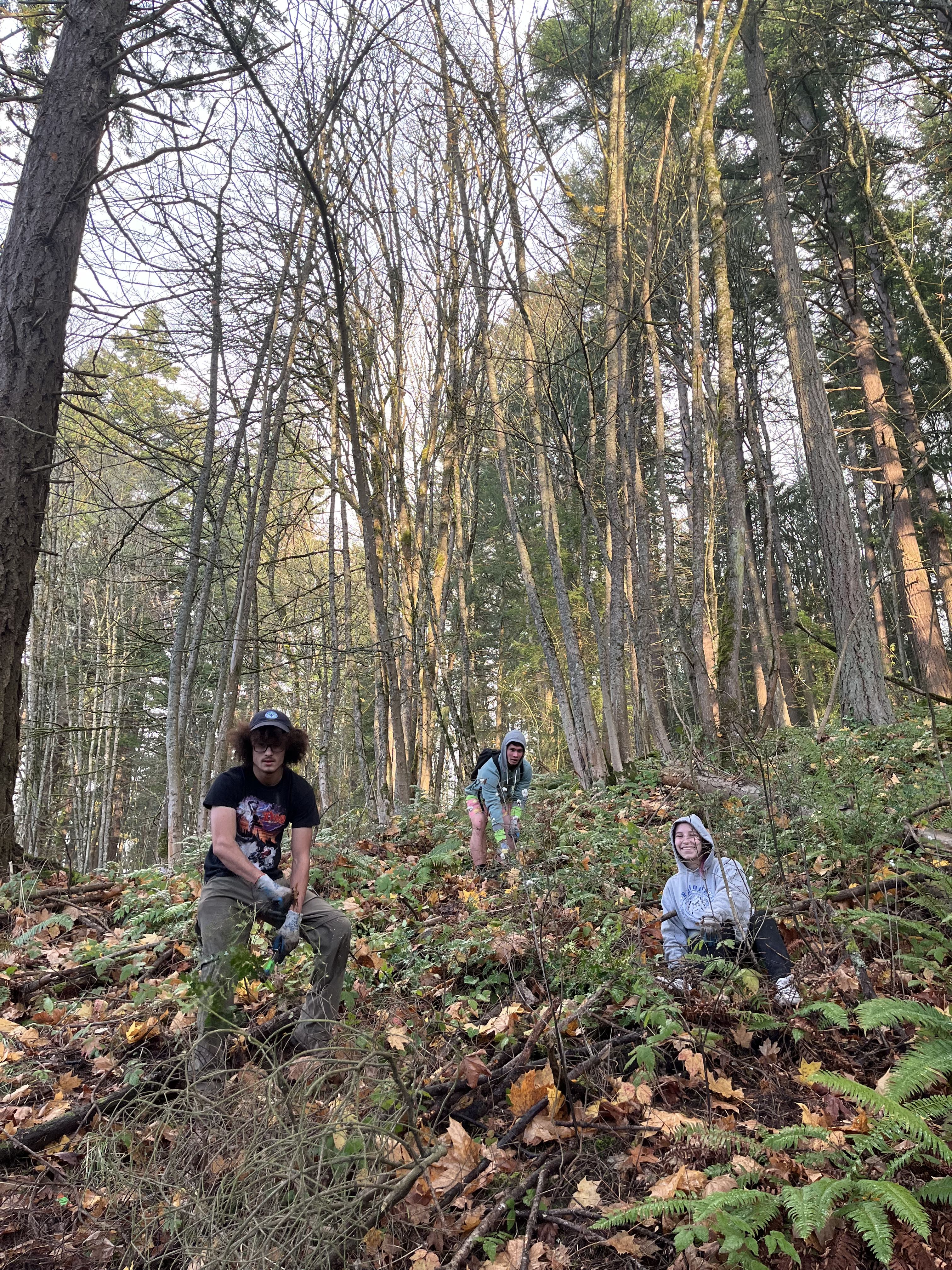 Happy volunteers in the forest