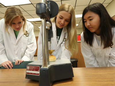 Health & Human Sciences Excellence Fund Tile Image