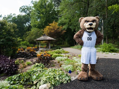 Golf and Learning - In Memory of Harry Gilmore Tile Image