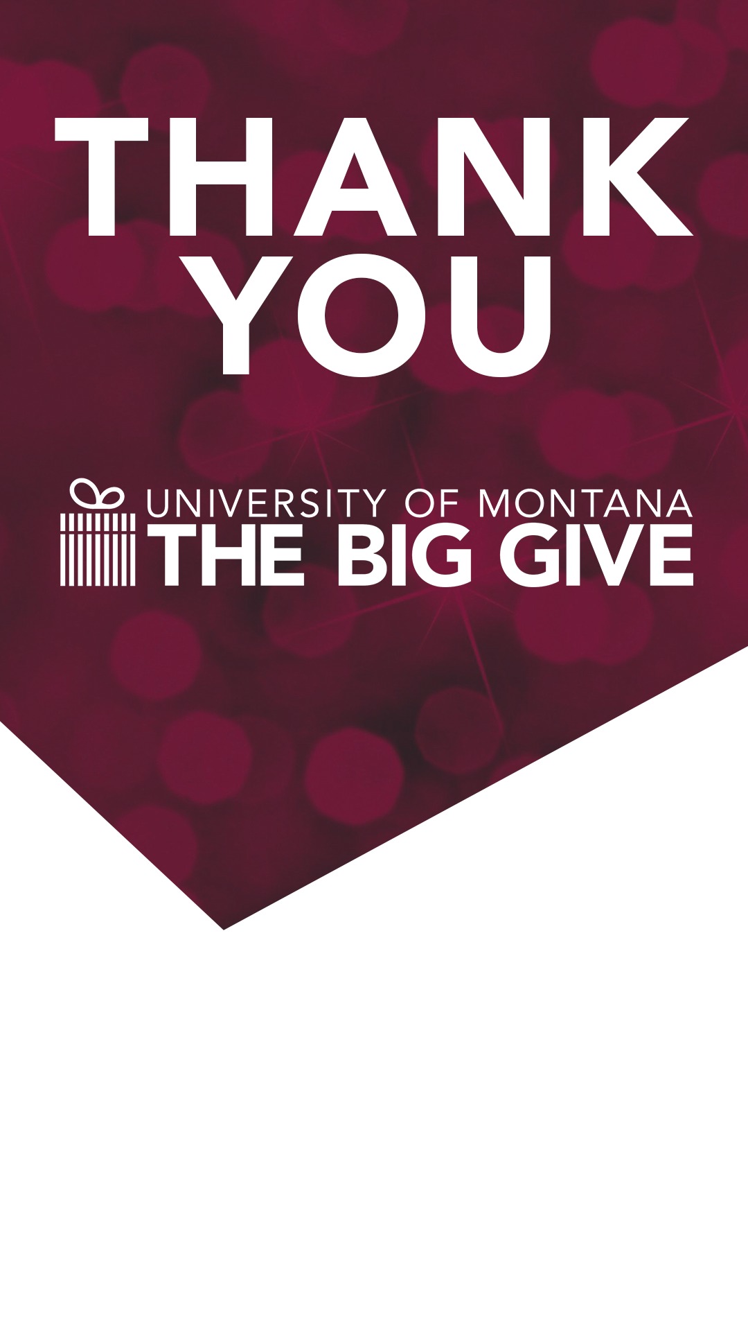 Text reads, Thank You. University of Montana. The Big Give.