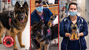 Ellie and her plush posed with hospital workers