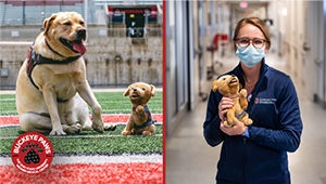 Buckeye Paws' dog, Brienne, with plush on field and healthcare worker holder plush