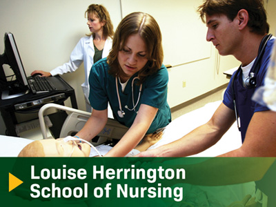 Louise Herrington School of Nursing Tile Image