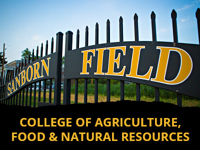 College of Agriculture, Food and Natural Resources Tile Image