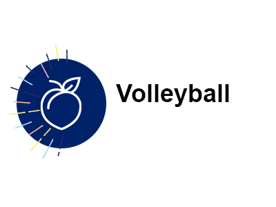 Volleyball Tile Image