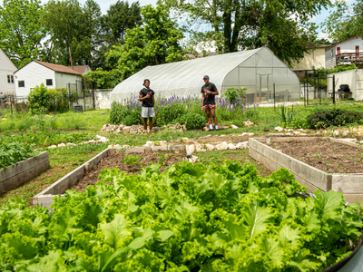 School of Agriculture & Environmental Science Tile Image