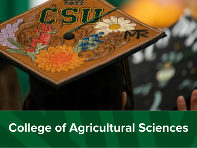 College of Agricultural Sciences Tile Image