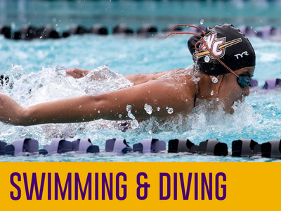 Swimming & Diving Tile Image