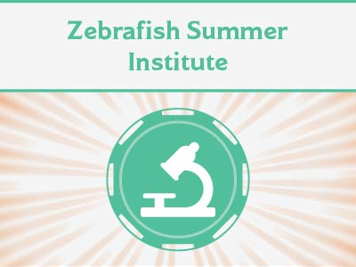 Zebrafish Summer Institute Tile Image