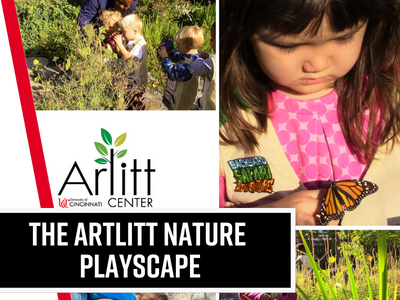 The Arlitt Nature Playscape Tile Image