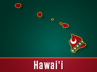 Hawaii Tile Image