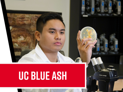 UC Blue Ash Tile Image