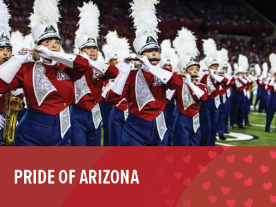 Pride of Arizona Tile Image