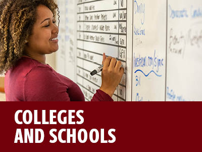 Colleges and Schools Tile Image