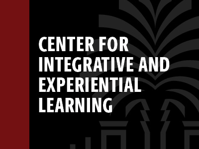 Center for Integrative and Experiential Learning Tile Image