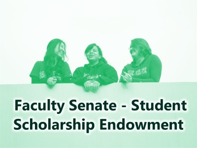 Faculty Senate – Student Scholarship Endowment Tile Image