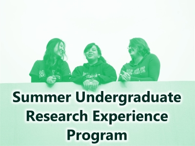 Summer Undergraduate Research Experience Program Tile Image