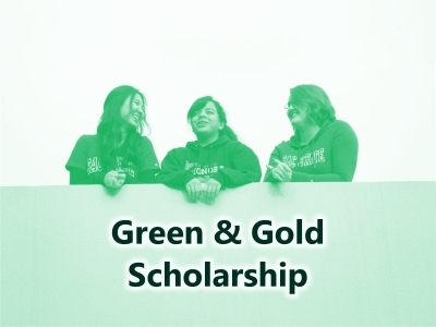 Green & Gold Scholarship Tile Image