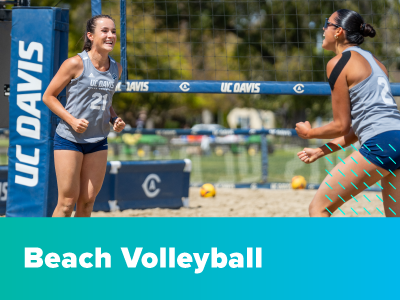 Beach Volleyball Tile Image