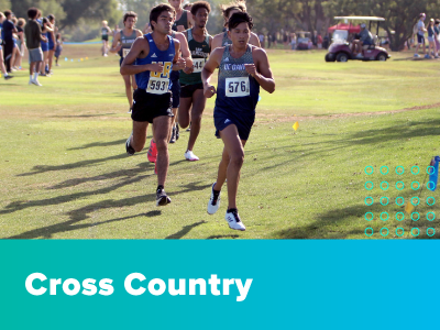 Cross Country Tile Image