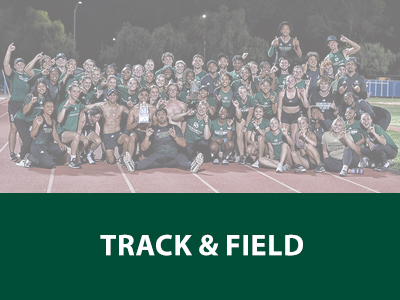 Track & Field Tile Image