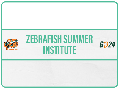 Zebrafish Summer Institute Tile Image