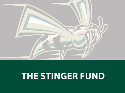 The Stinger Fund Tile Image