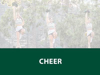 Cheer Tile Image