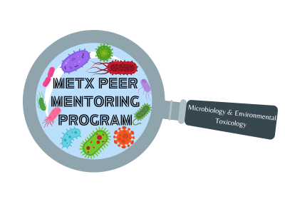 METX Peer Mentoring Program Tile Image