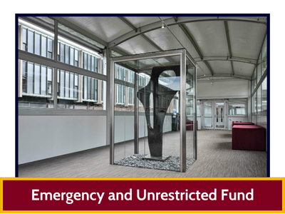 Emergency and Unrestricted Fund Tile Image