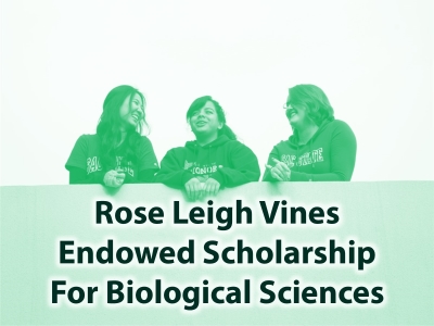 Rose Leigh Vines Endowed Scholarship Tile Image