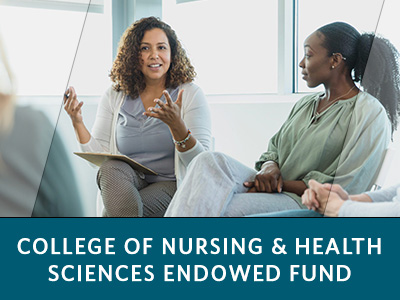 College of Nursing & Health Sciences Endowed Fund Tile Image