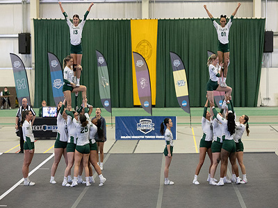 Stunt Tile Image