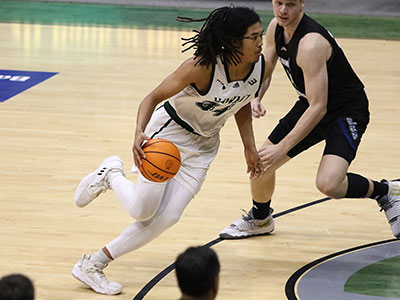 Rainbow Warrior Basketball Tile Image