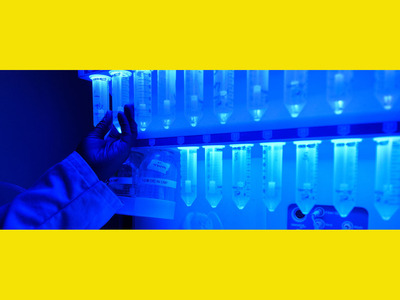 Biopharmaceutical Sciences Masters Program Tile Image