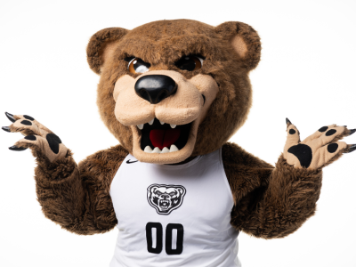 Bachelor of Interdisciplinary Studies Tile Image