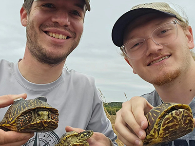 Adopt-A-Turtle Tile Image