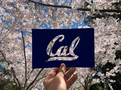 Cal Fund (Chancellor's Priority) Tile Image