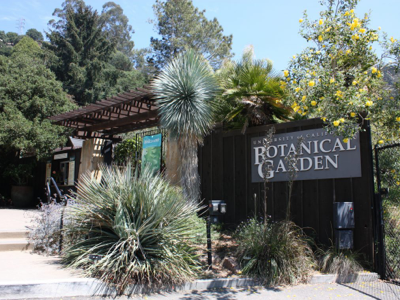 Botanical Garden Tile Image