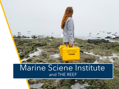 Marine Science Institute and The REEF Tile Image