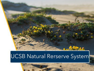 UCSB Natural Reserve System Tile Image