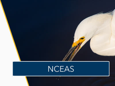 NCEAS Tile Image