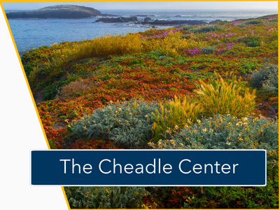 The Cheadle Center Tile Image
